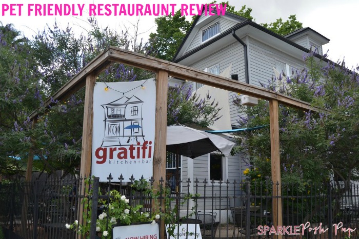 Gratifi-Houston-Pet-Friendly-Restauraunt